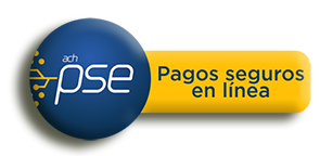 pse Equipos del Sur